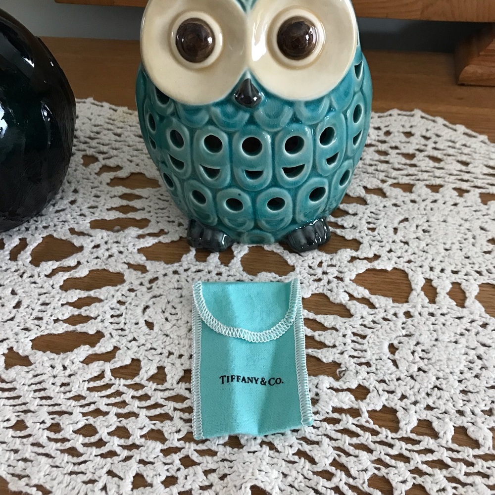 Tiffany &Co.  jewelry pouch